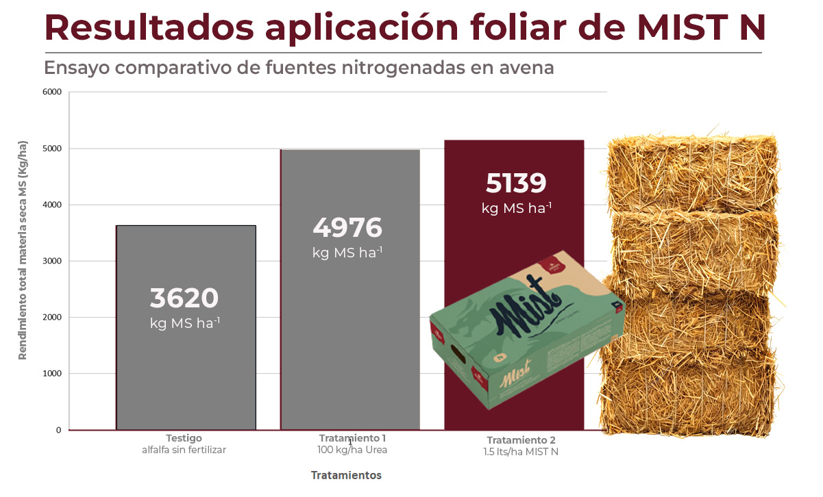 Resultados ensayo avena